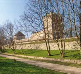 alte Stadtmauer von Weißenfels