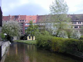 Totalanschicht der Krämerbrücke