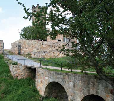 Hinter ein Baum ist die Mühlburg zusehen